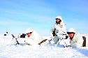 Подразделения ДШВ ВС РК примут участие в соревновании на лучший батальон по огневой выучке - http://desantura.ru/news/84844/