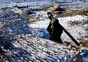 Подразделения 247-го десантно-штурмового полка в ходе учения захватили аэродром условного противника - http://desantura.ru/news/84799/