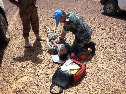 Фото к новости «Из Западной Сахары вернулся первый казахстанский военный наблюдатель».
Ссылка на новость - http://desantura.ru/news/76761/