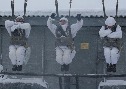 Молодое пополнение морской пехоты СФ приступило к первому этапу воздушно-десантной подготовки - http://desantura.ru/news/84841/
