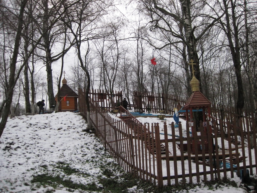 IMG_2231.jpg