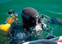Фото к новости «Подводный спецназ ВДВ будет обучаться на уникальном глубоководном водолазном комплексе».
Ссылка на новость - http://desantura.ru/news/77173/