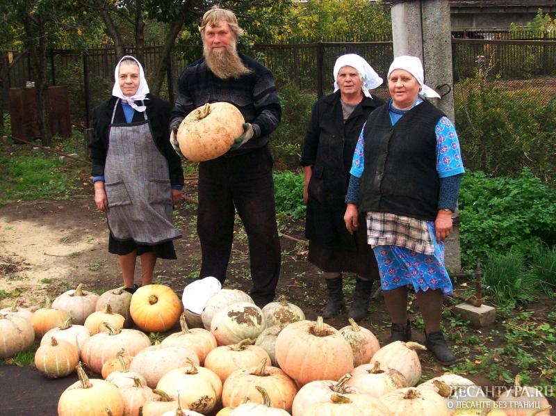 вот и урожай