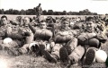 Ждем посадки.
Тутов,РиРТР
лето 1984г.