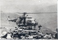 сканирование0030.jpg