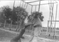 1185 ОДШБ в спортгородке 85-87гг.Равенсбрюк