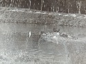 DSCN2201.JPG
