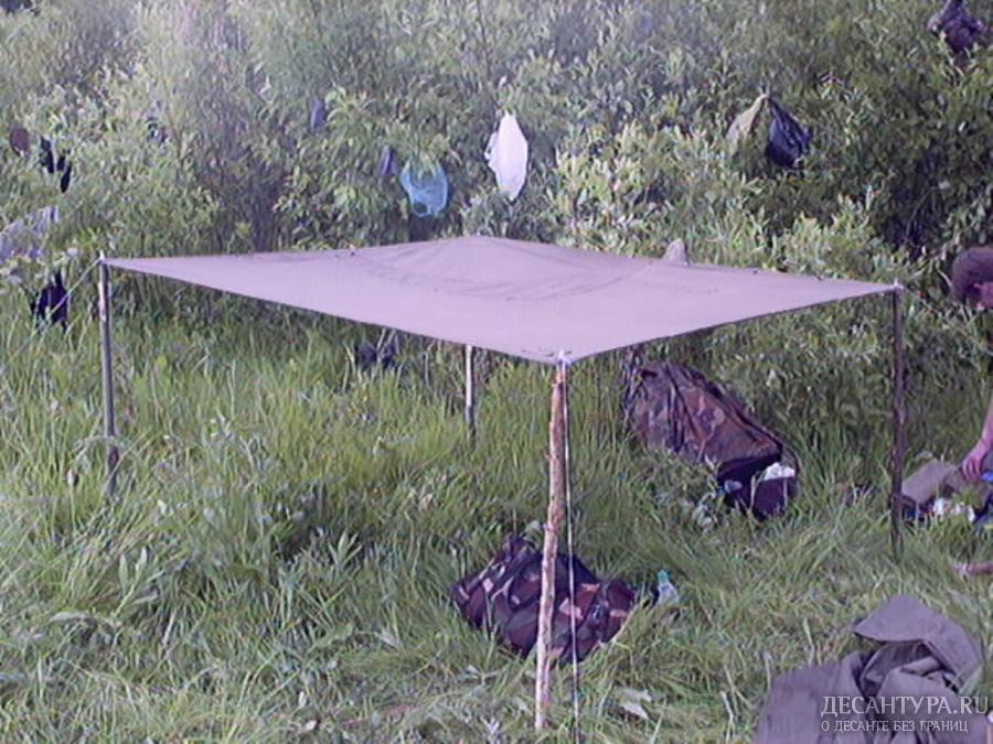 PIC0069