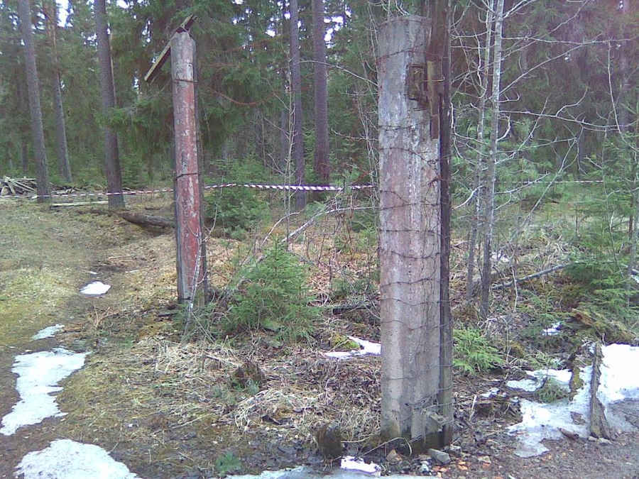 037.jpg