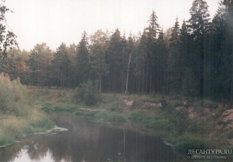 kirzach96_36