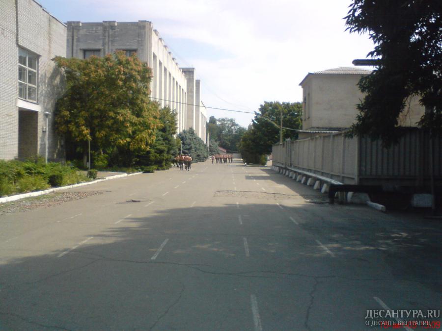 DSC008482