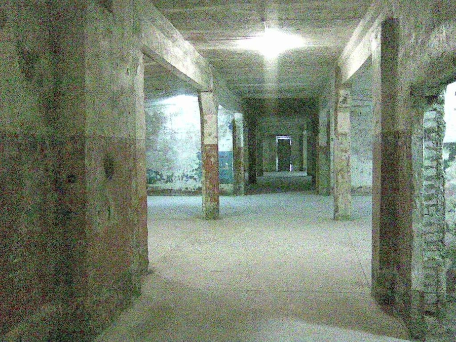 005.jpg