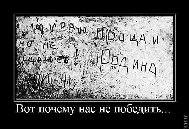 094c5111c1ed82e9e998dc97b915200f.jpg